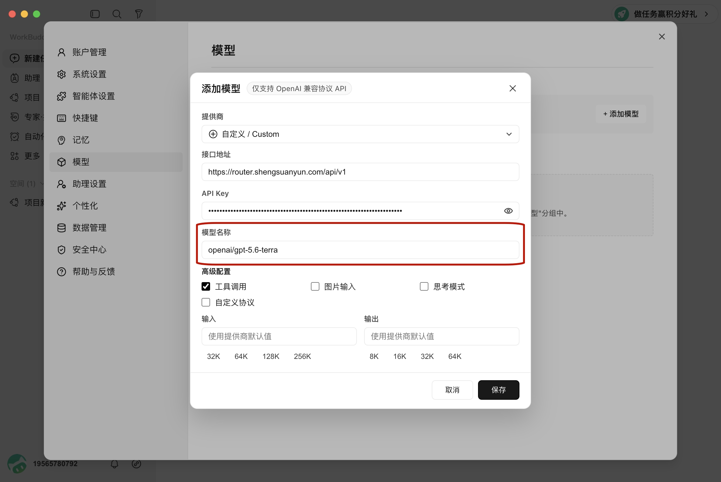 填写模型名称与高级配置